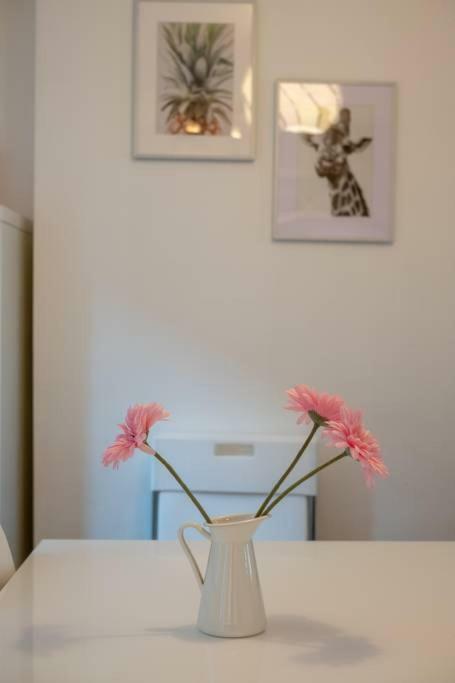 Galway City Cottage Esterno foto